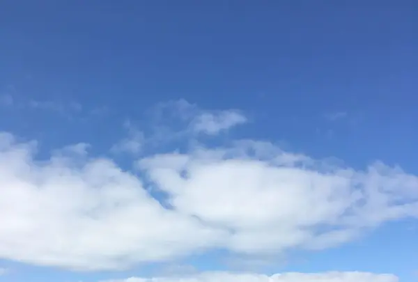 東尋坊の写真・動画_image_184489