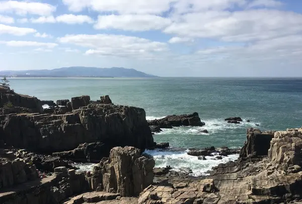 東尋坊の写真・動画_image_184490