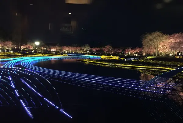マルセイユの写真・動画_image_184496