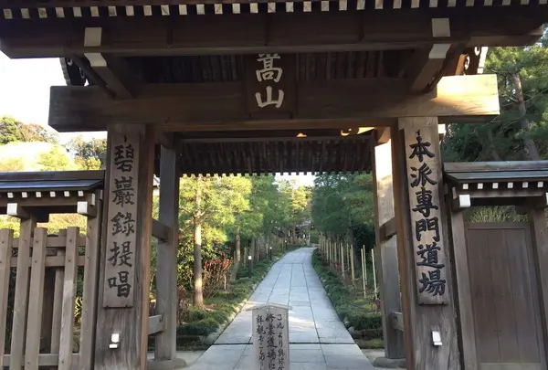 建長寺庭園の写真・動画_image_184535