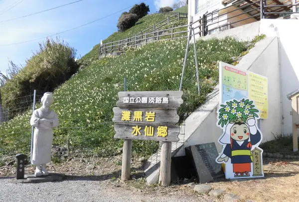 灘黒岩水仙郷の写真・動画_image_184583