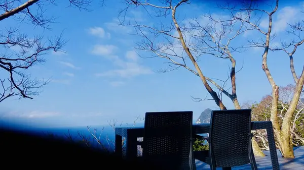 Izu Cliff Houseの写真・動画_image_184667