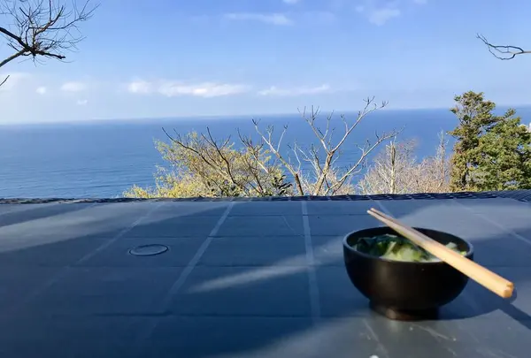 Izu Cliff Houseの写真・動画_image_184673