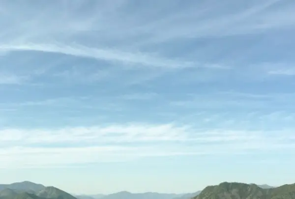 玉置神社の写真・動画_image_184775