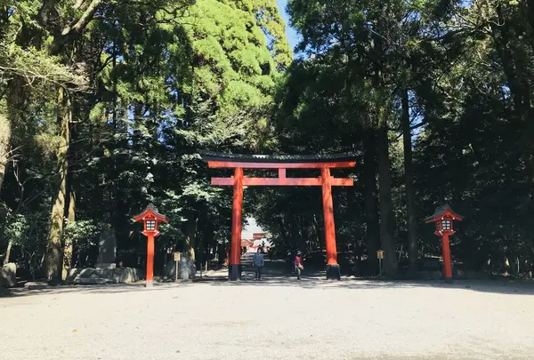 霧島神宮の写真・動画_image_184798