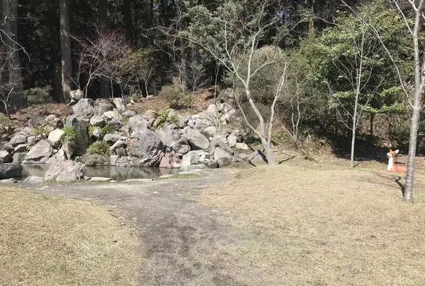 霧島神宮の写真・動画_image_184800