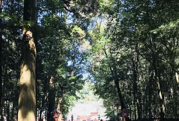 霧島神宮の写真・動画_image_184802