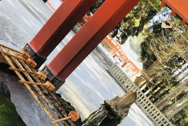 霧島神宮の写真・動画_image_184803