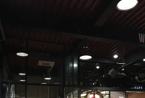 Bean Brothersの写真・動画_image_184843