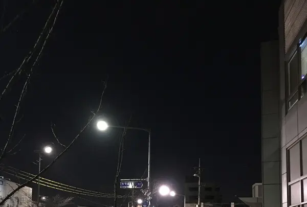 앤트러사이트の写真・動画_image_184862