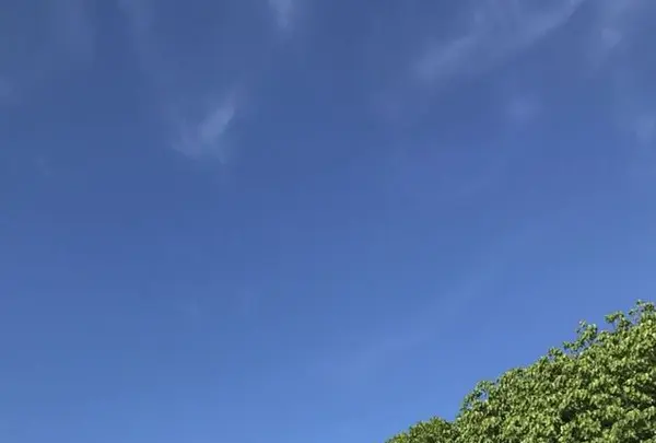 カイジ浜の写真・動画_image_184898