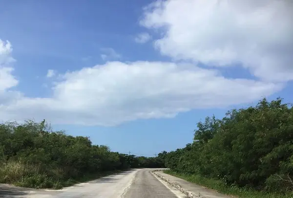 竹富島の写真・動画_image_184910