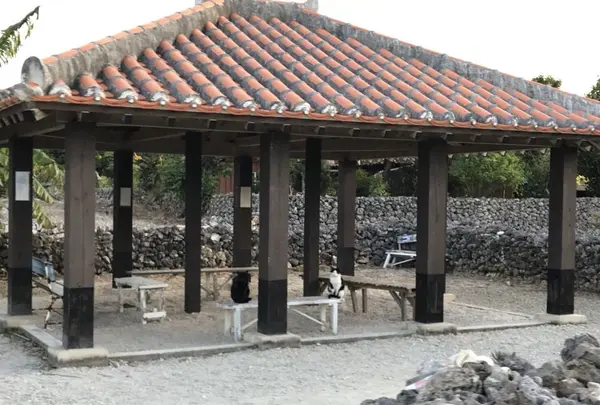 竹富島の写真・動画_image_184913