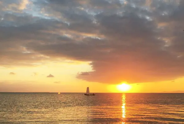 西桟橋の写真・動画_image_184916