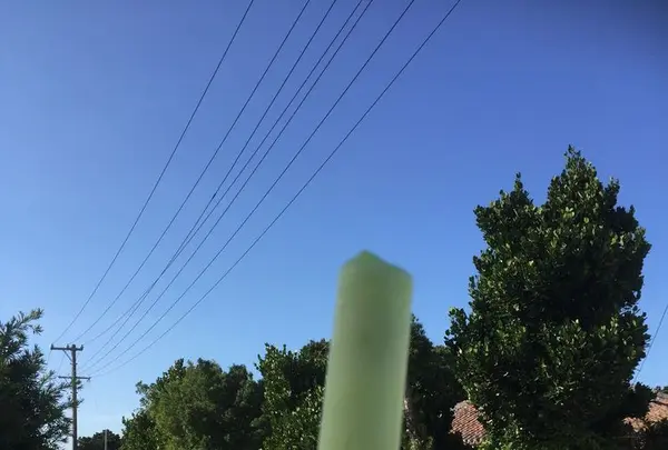 竹富島の写真・動画_image_184917