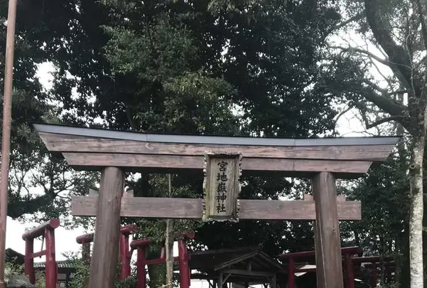 青井阿蘇神社の写真・動画_image_184997