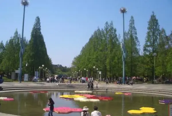 花博記念公園鶴見緑地の写真・動画_image_185164