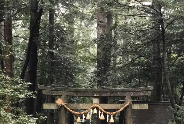 椿大神社の写真・動画_image_185230