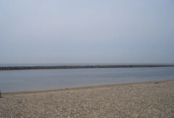 新五色浜県民サンビーチの写真・動画_image_185256