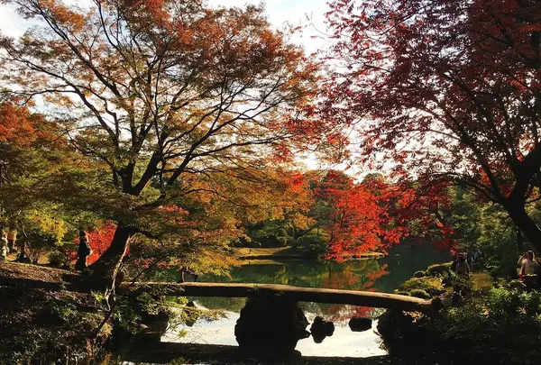 六義園の写真・動画_image_185276