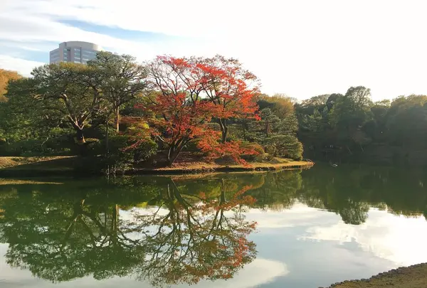六義園の写真・動画_image_185277