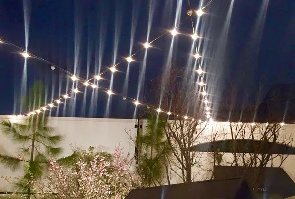 bondolfi boncaffē 代官山 （ボンドルフィ ボンカフェ）の写真・動画_image_185487