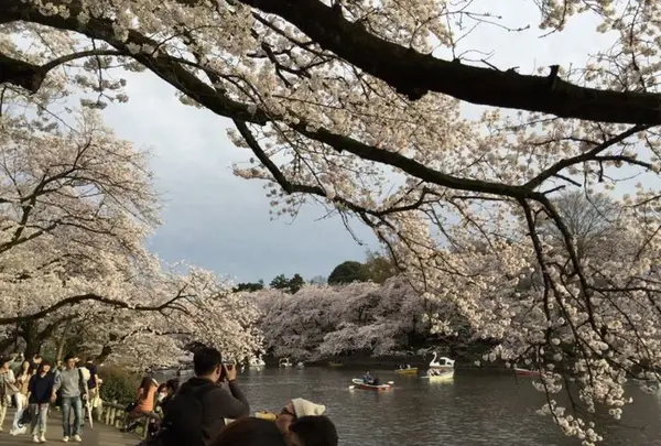 井の頭自然文化園の写真・動画_image_185638