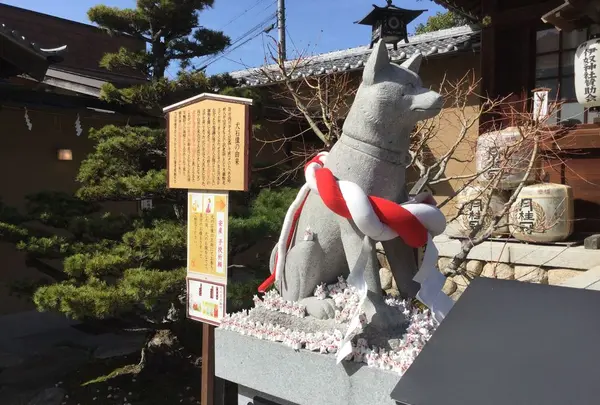 伊奴神社の写真・動画_image_185820