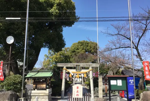 伊奴神社の写真・動画_image_185821