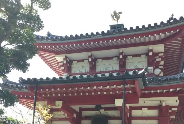 護国院の写真・動画_image_185826