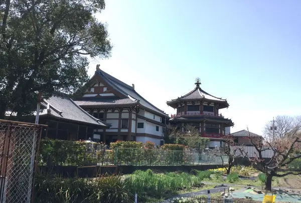 護国院の写真・動画_image_185827