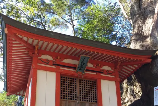 鳳来寺山不動堂の写真・動画_image_185861