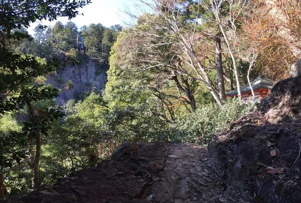 鳳来寺山不動堂の写真・動画_image_185862