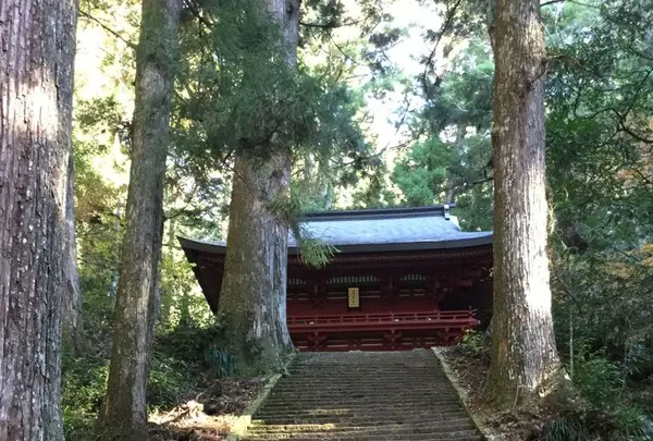鳳来寺の写真・動画_image_185877