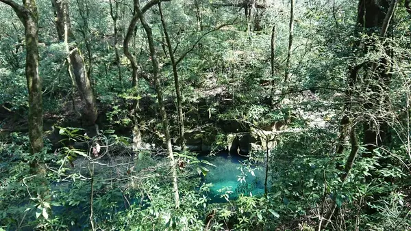 菊池渓谷の写真・動画_image_185959