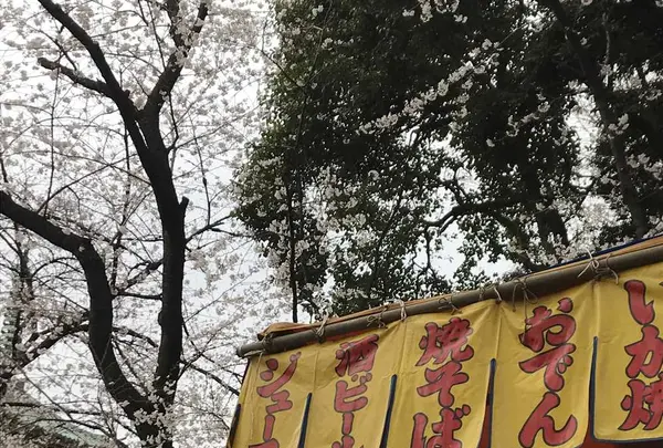 上野東照宮の写真・動画_image_185969