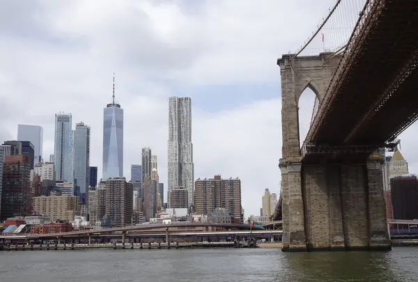 Circle Line Sightseeing Cruisesの写真・動画_image_186002