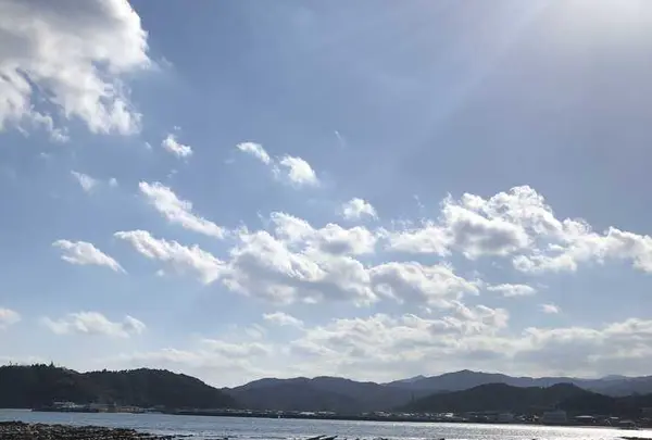 青島神社の写真・動画_image_186069
