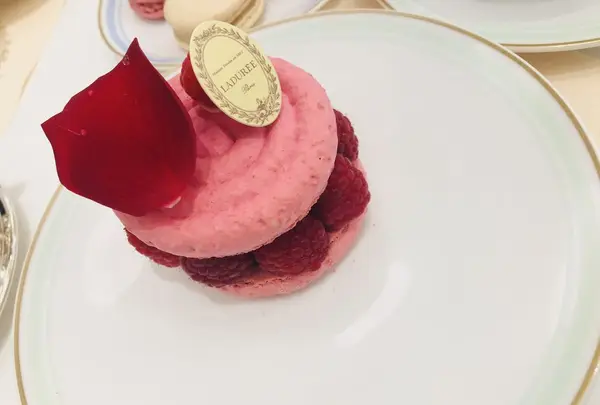 【閉業】ラデュレ（Ladurée） 青山の写真・動画_image_186078