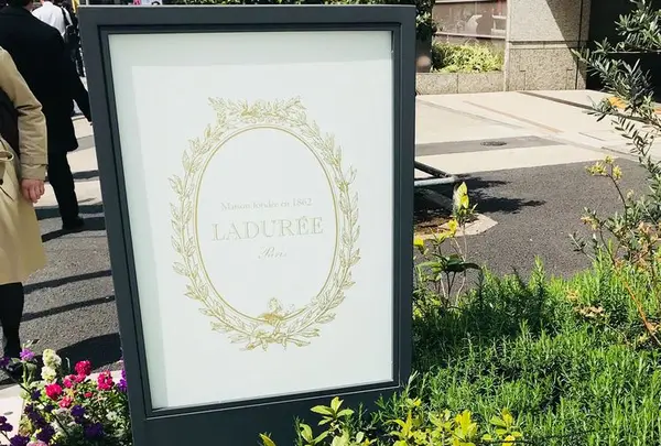 【閉業】ラデュレ（Ladurée） 青山の写真・動画_image_186085