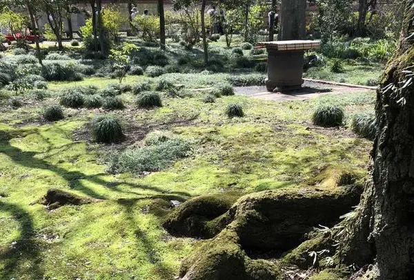 六義園の写真・動画_image_186425