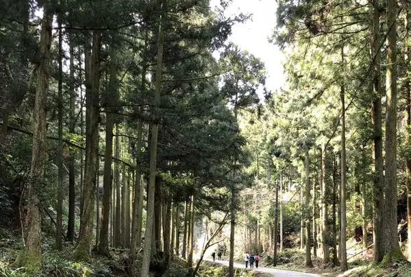 石見銀山の写真・動画_image_186516