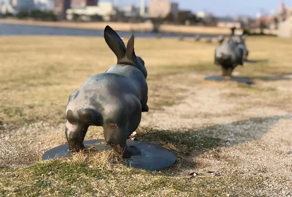 島根県立美術館の写真・動画_image_186527