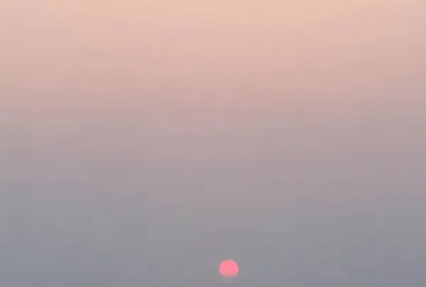 宍道湖の写真・動画_image_186532