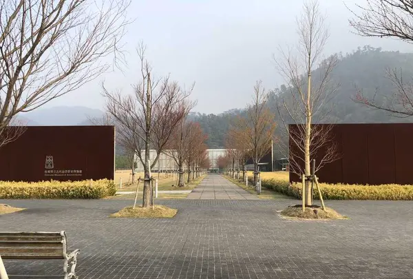 出雲大社の写真・動画_image_186542