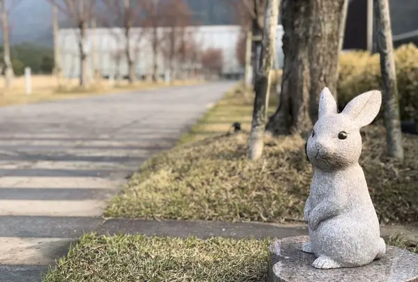 出雲大社の写真・動画_image_186543