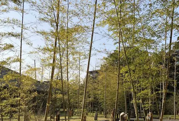 界 玉造の写真・動画_image_186566