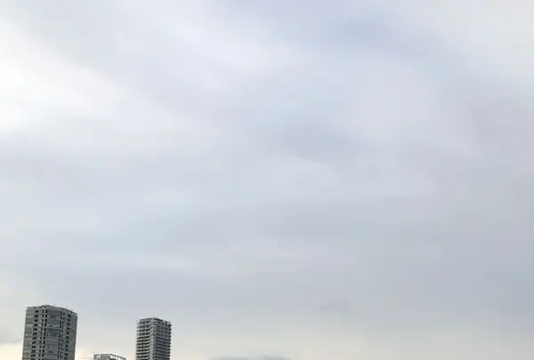 不忍池の写真・動画_image_186626