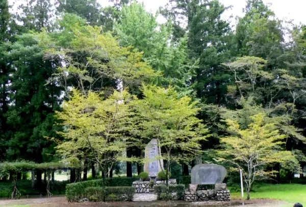 熊野本宮大社旧社地大斎原の写真・動画_image_186644