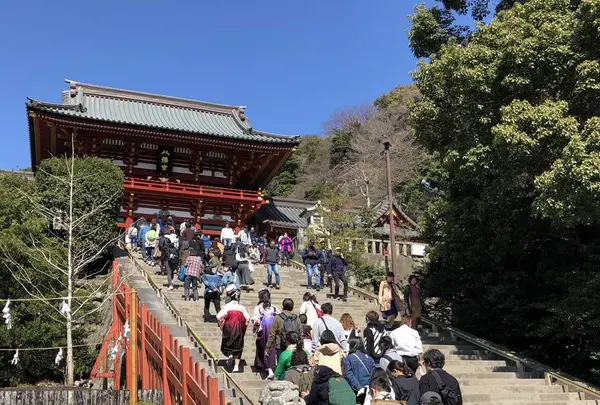 鶴岡八幡宮の写真・動画_image_186655